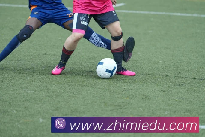 博亚体育APP 封面图