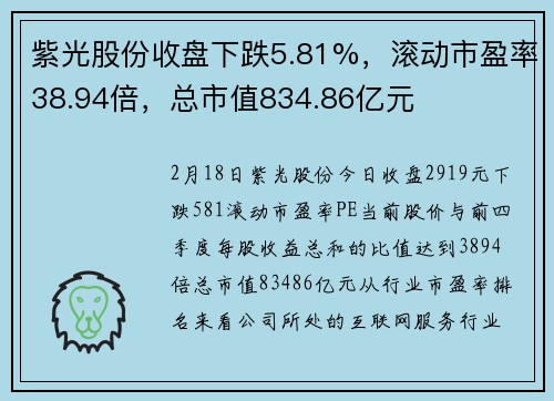 紫光股份收盘下跌5.81%,滚动市盈率38.94倍,总市值834.86亿元