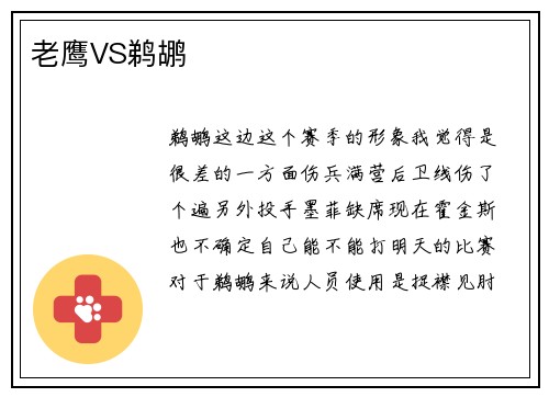 老鹰VS鹈鹕