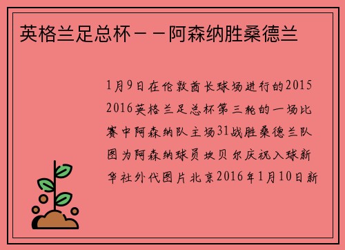 英格兰足总杯--阿森纳胜桑德兰